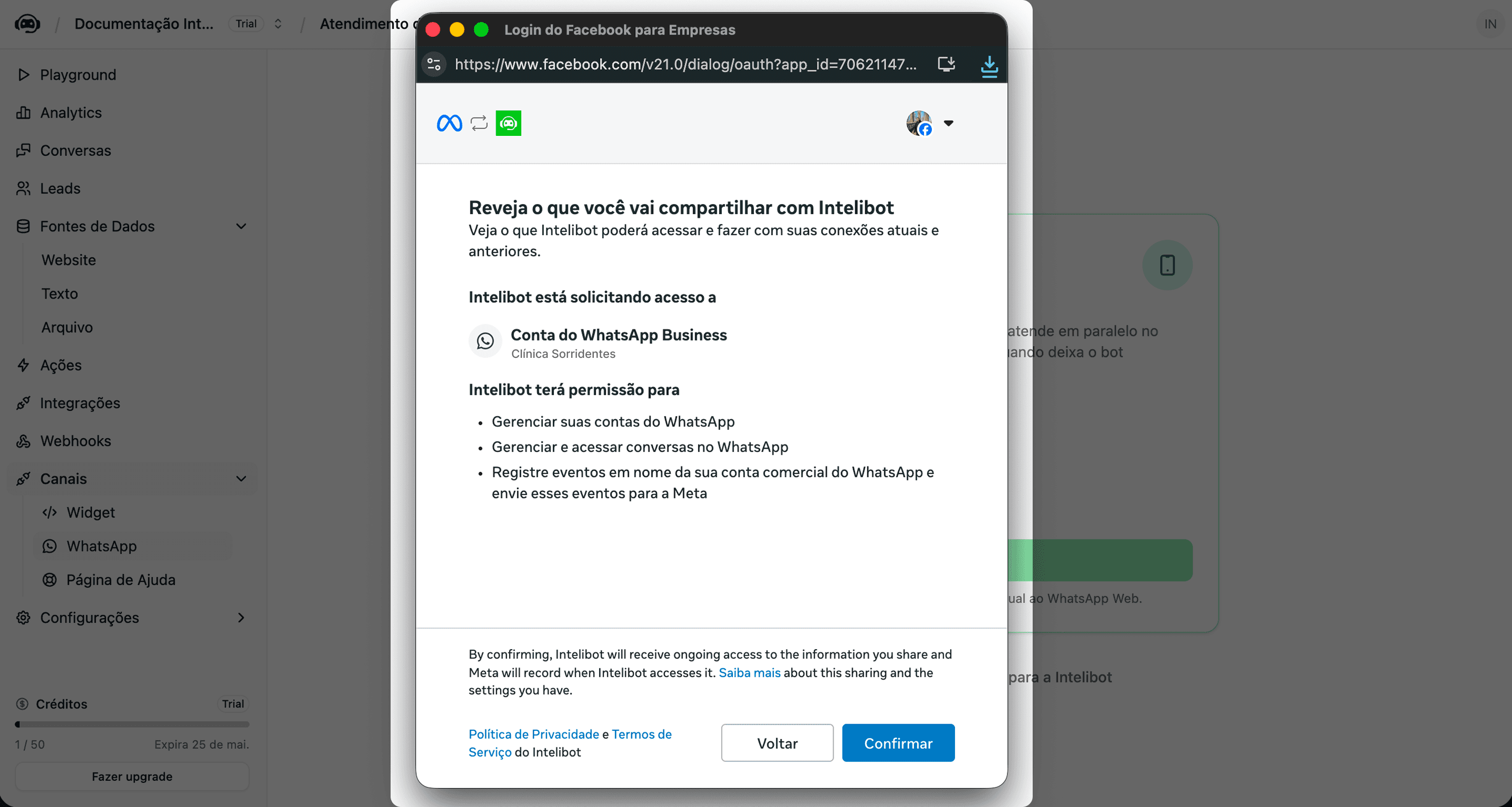 Tela de revisão do que será compartilhado e das permissões concedidas ao Intelibot