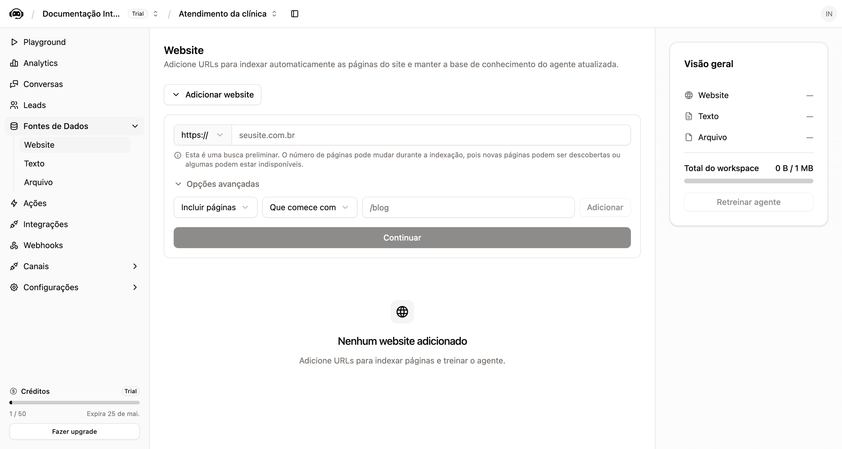Tela de adicionar website com campo de URL, opções avançadas e botão Continuar
