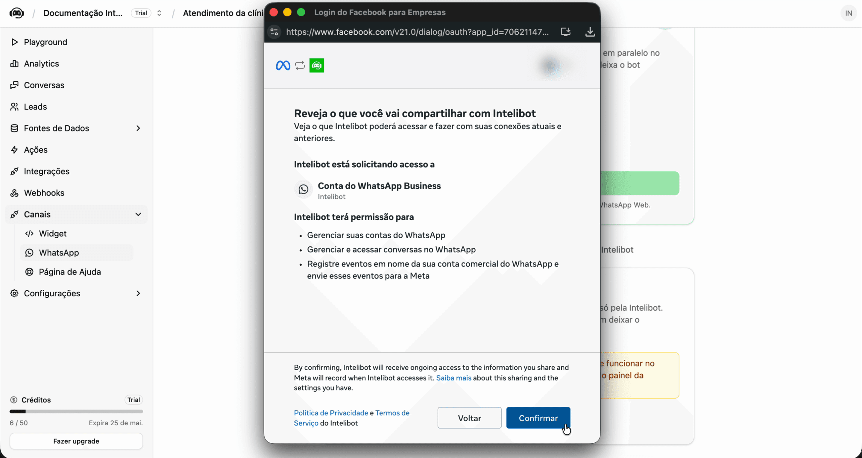 Tela de revisão do que será compartilhado e das permissões concedidas ao Intelibot